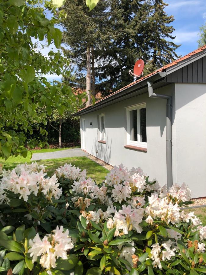 Kleine Auszeit In Salzhausen Villa Eksteriør billede
